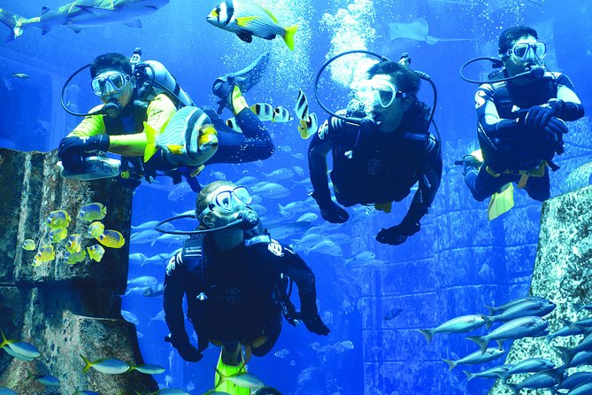 Faire de la plongée à Dubaï, les spots à découvrir en 2022