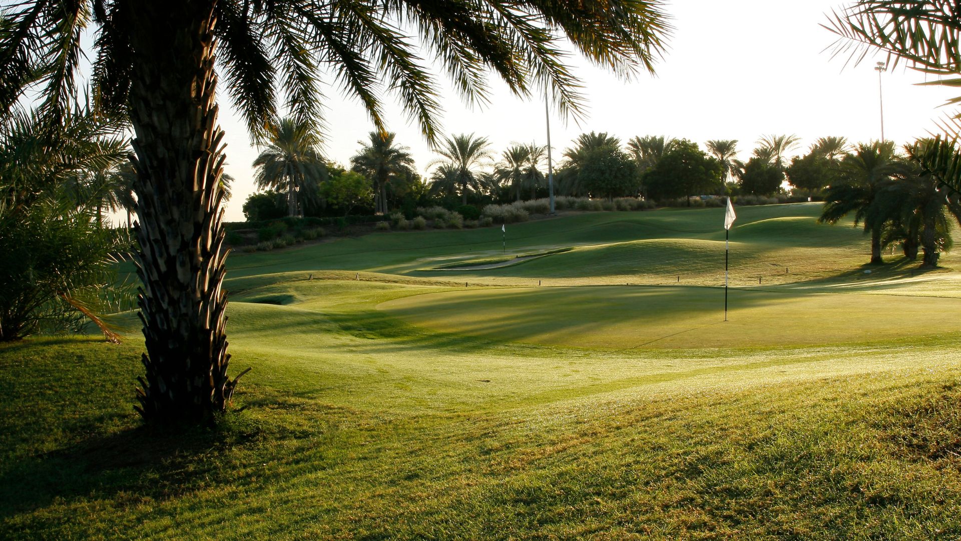 Les meilleurs golfs de Dubaï (2)