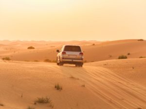 Excursion dans le désert de Dubaï