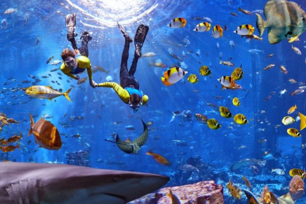 Plongée à l'aquarium Lost Chambers en apnée