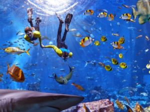 Plongée à l'aquarium Lost Chambers en apnée