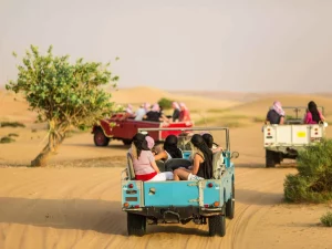 Safari dans une Land Rover vintage et dîner traditionnel