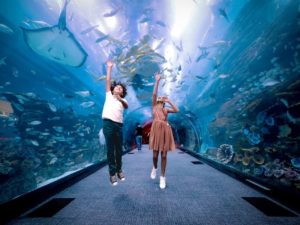 Aquarium et zoo sous-marin à Dubai