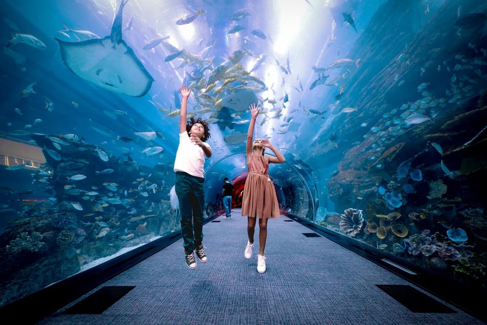 Aquarium et zoo sous-marin à Dubai