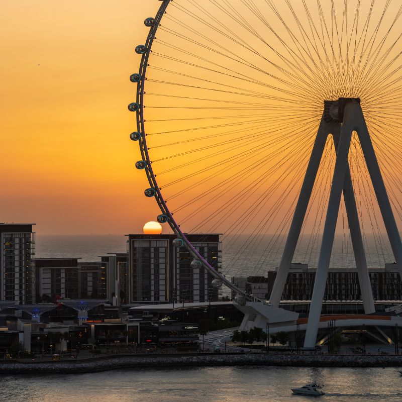 Ain dubai grande roue de dubai 12