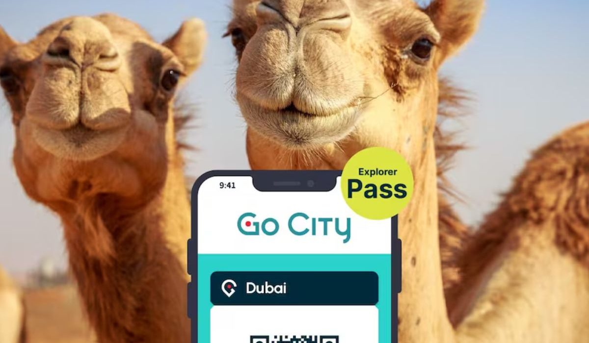 Go city Explorer Pass - Dubaï