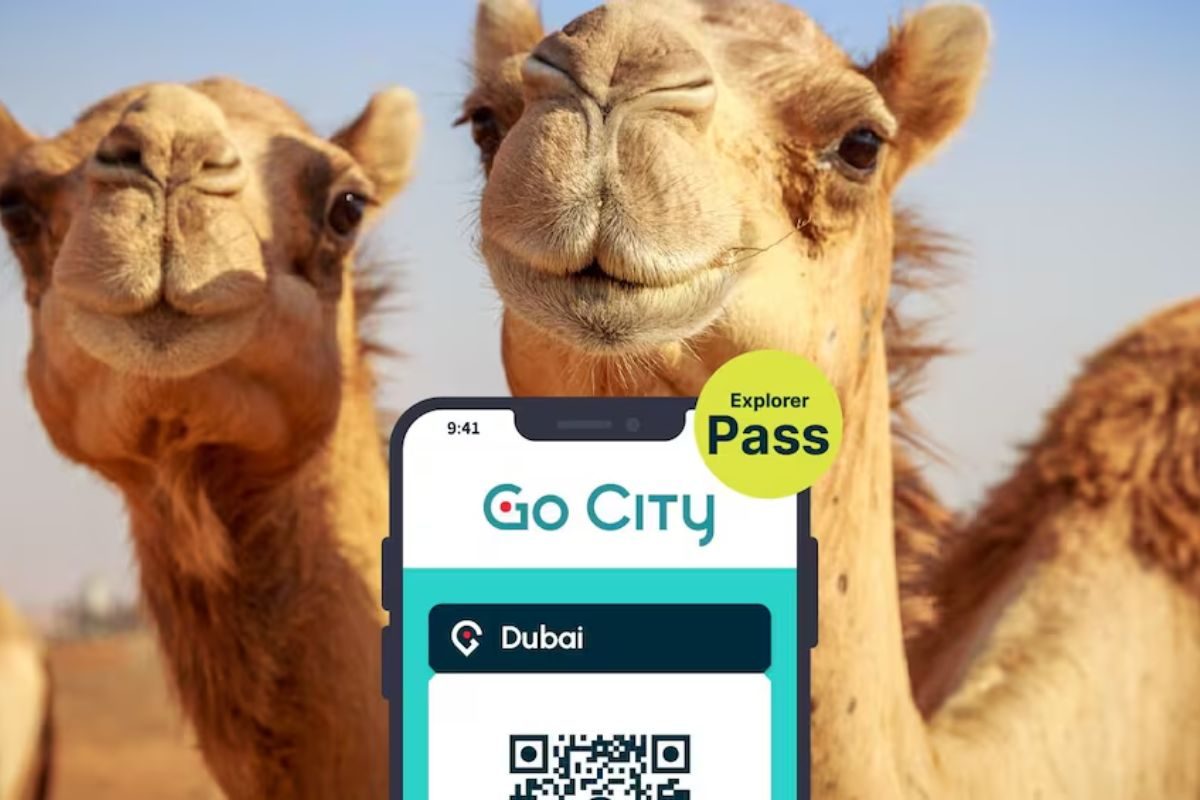 Go city Explorer Pass - Dubaï